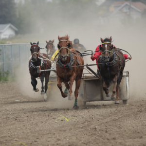 chariot racer