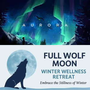 Aurora logo with event cover art with a wolf howling, "Embrace the Stillness of Winter".