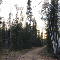 Fall hiking trail at Clearwater Lake